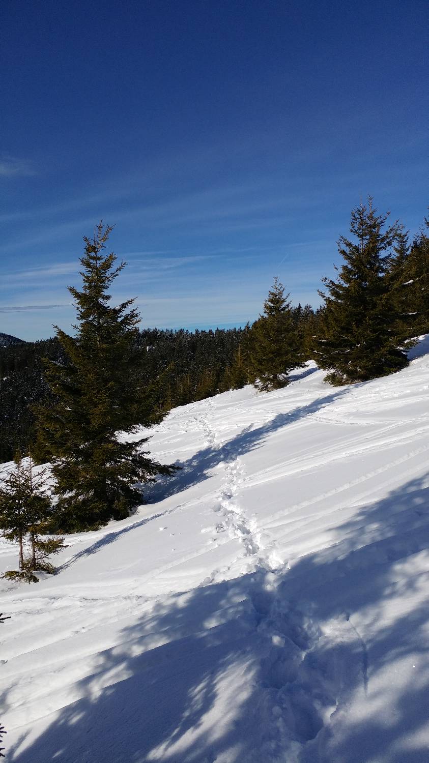 Dom na Smrekovcu - Krnes slika 13