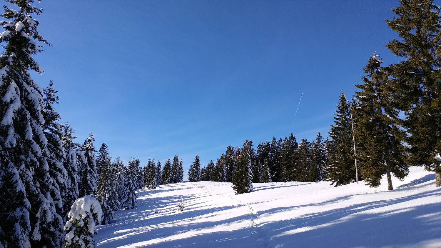Dom na Smrekovcu - Krnes slika 15