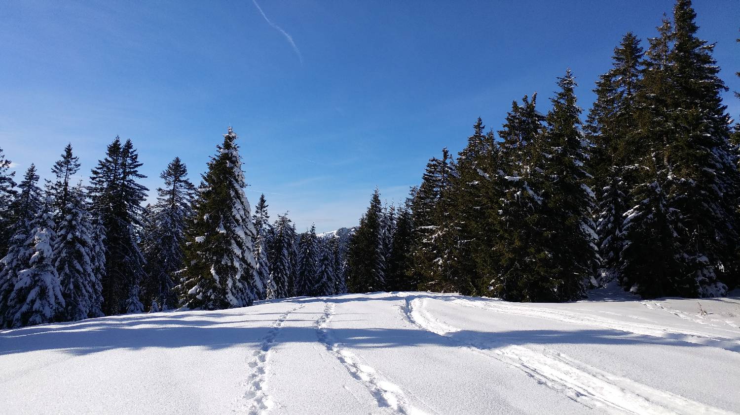 Dom na Smrekovcu - Krnes slika 17