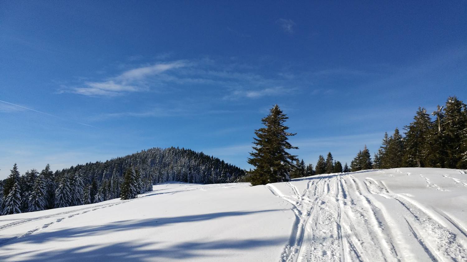 Dom na Smrekovcu - Krnes slika 20