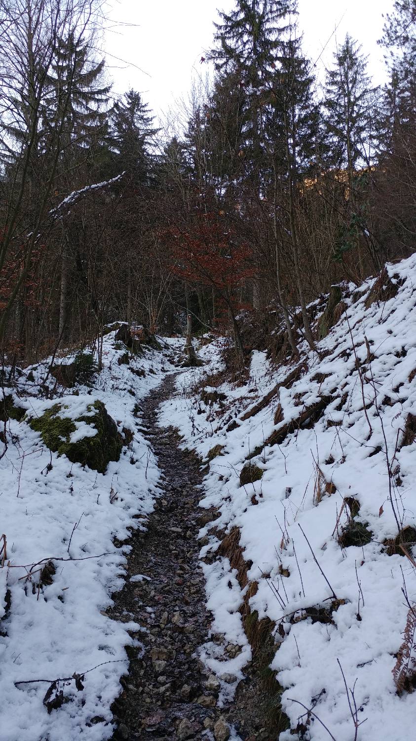 Dom v Iškem Vintgarju - Krim slika 5