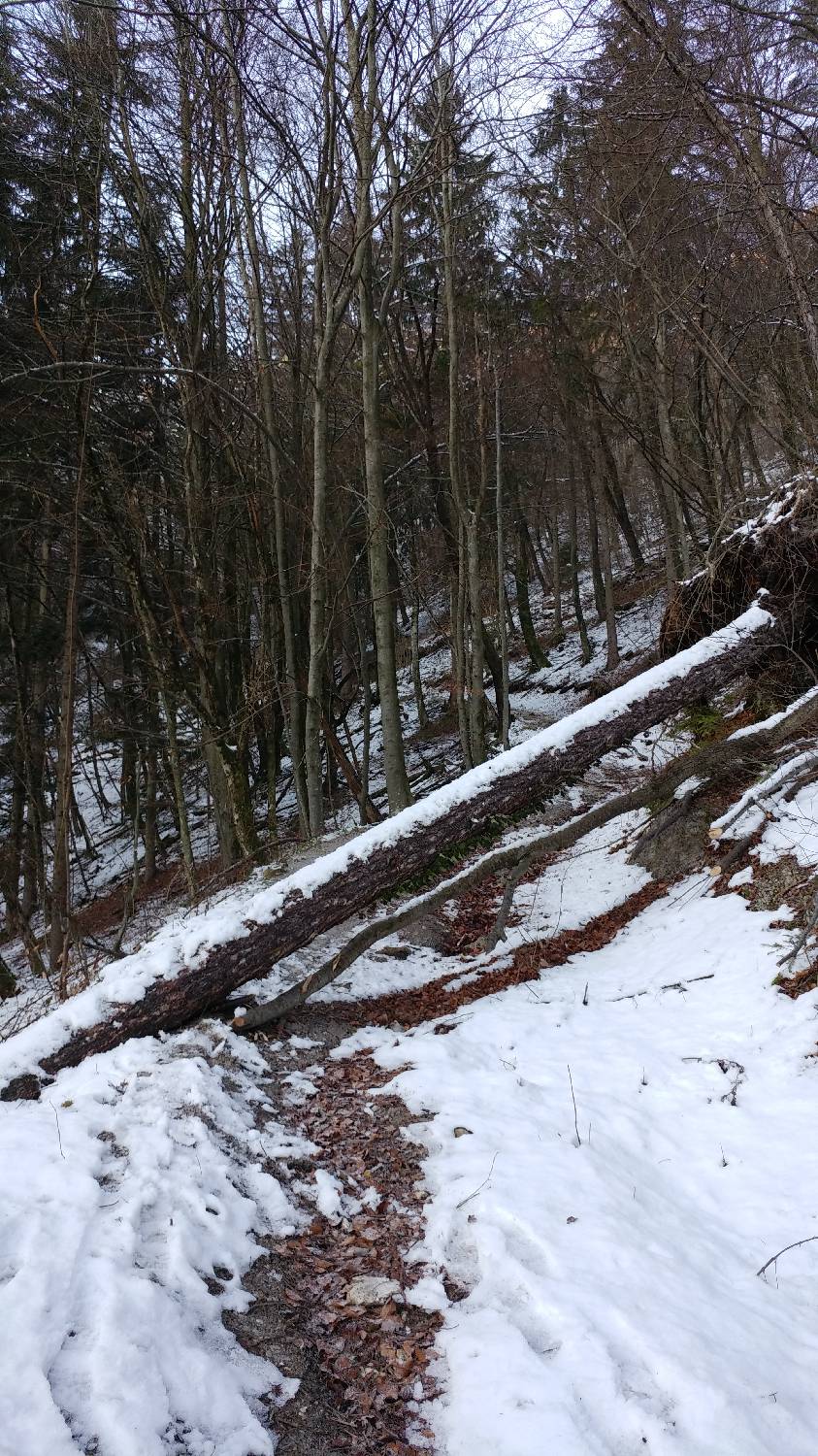 Dom v Iškem Vintgarju - Krim slika 6