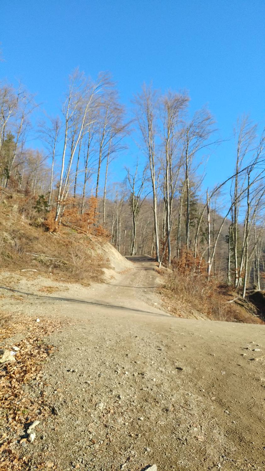 Kamnik - Visoka špica slika 9