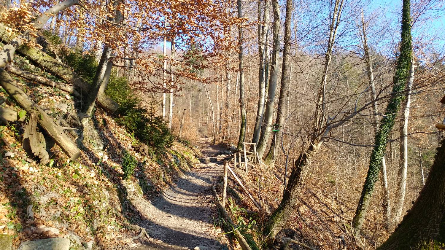 Kamnik - Visoka špica slika 10