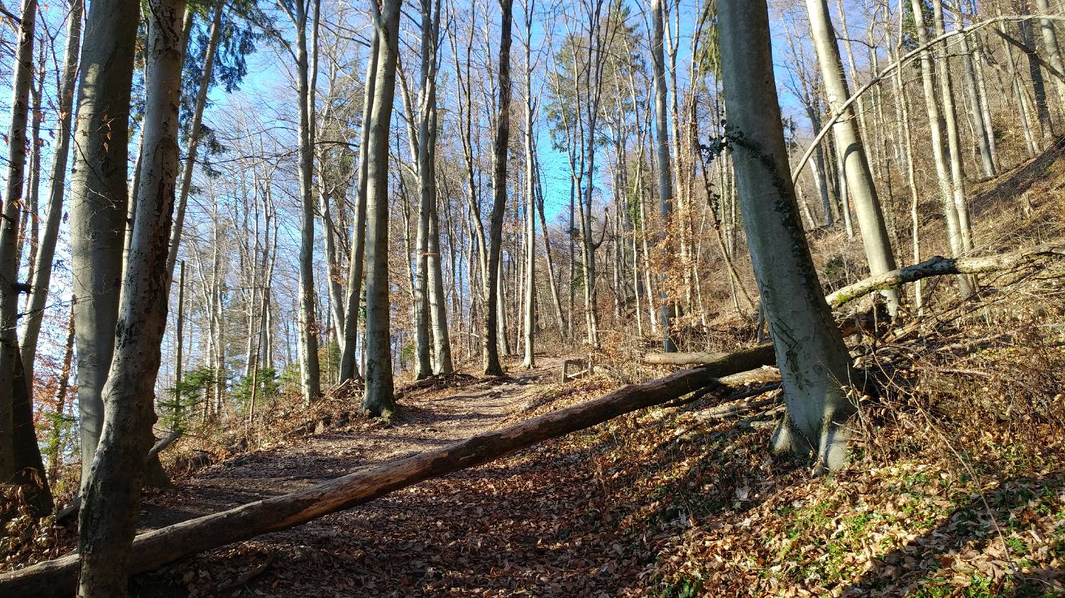 Kamnik - Visoka špica slika 12
