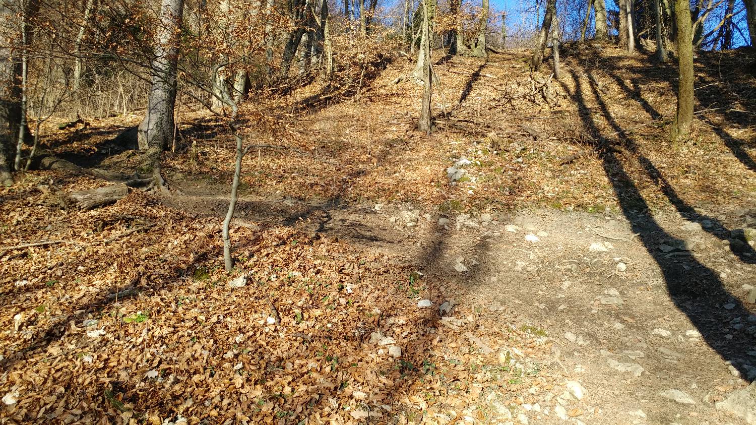 Kamnik - Visoka špica slika 11