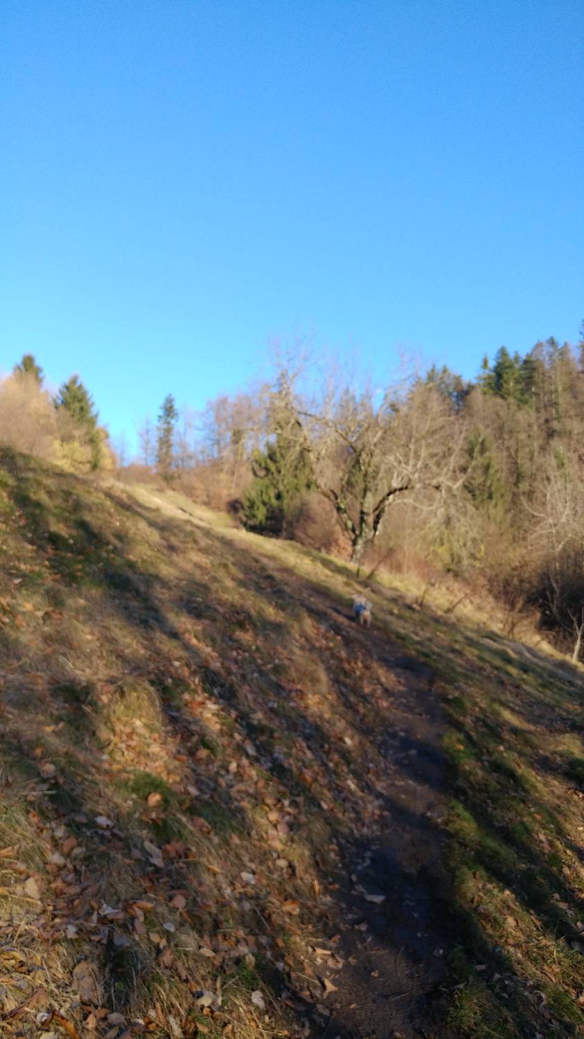 Kamnik - Visoka špica slika 14