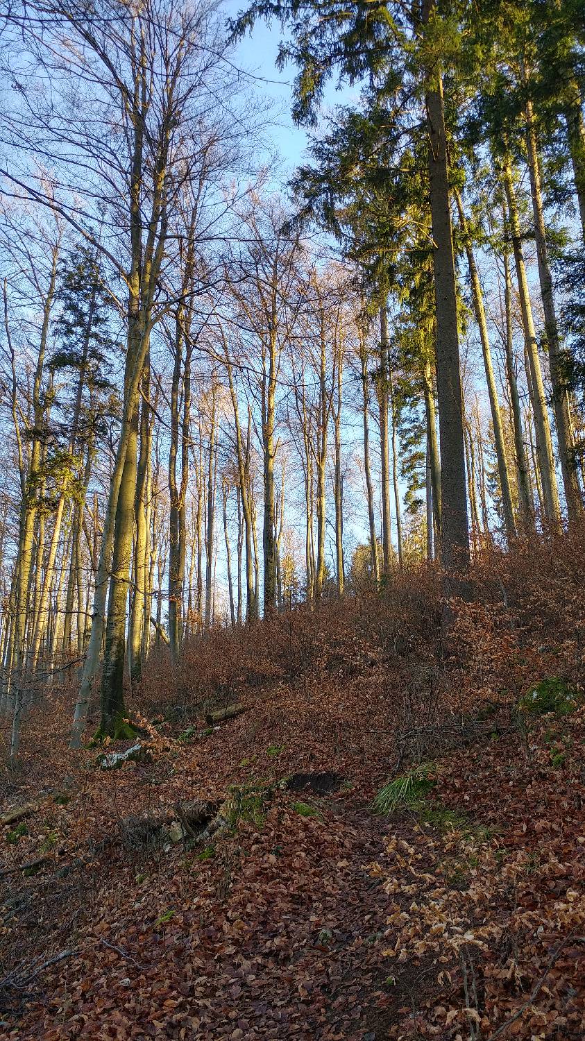 Kamnik - Visoka špica slika 19