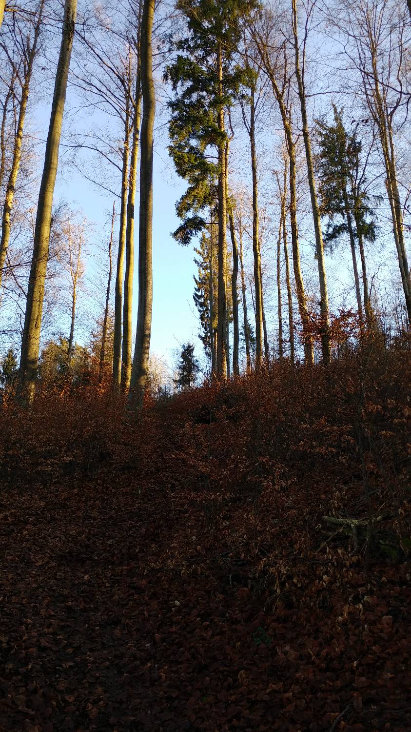 Kamnik - Visoka špica slika 20