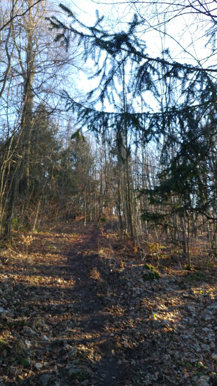 Kamnik - Visoka špica slika 21