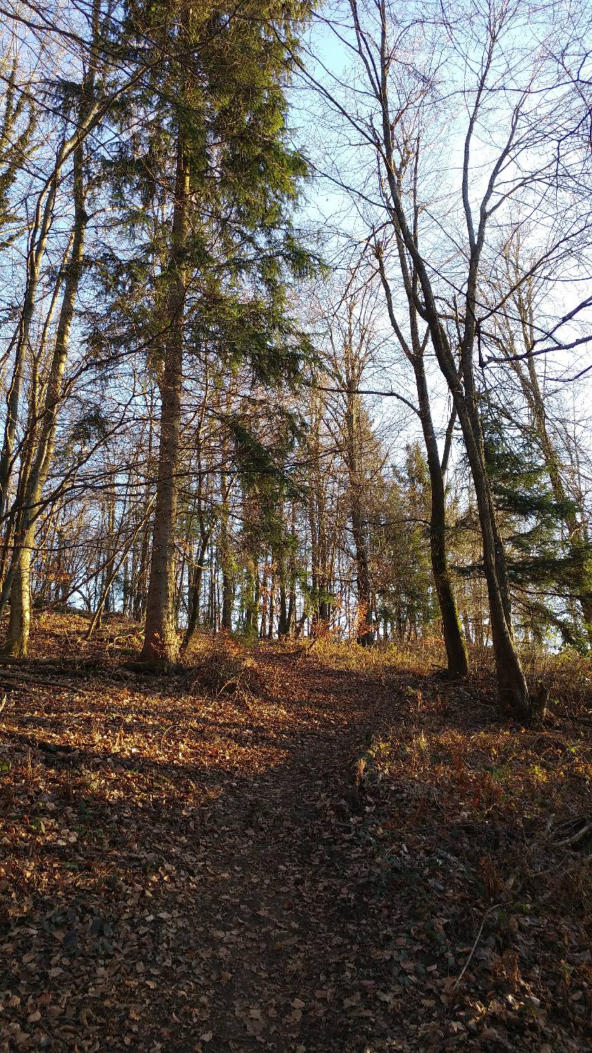 Kamnik - Visoka špica slika 22