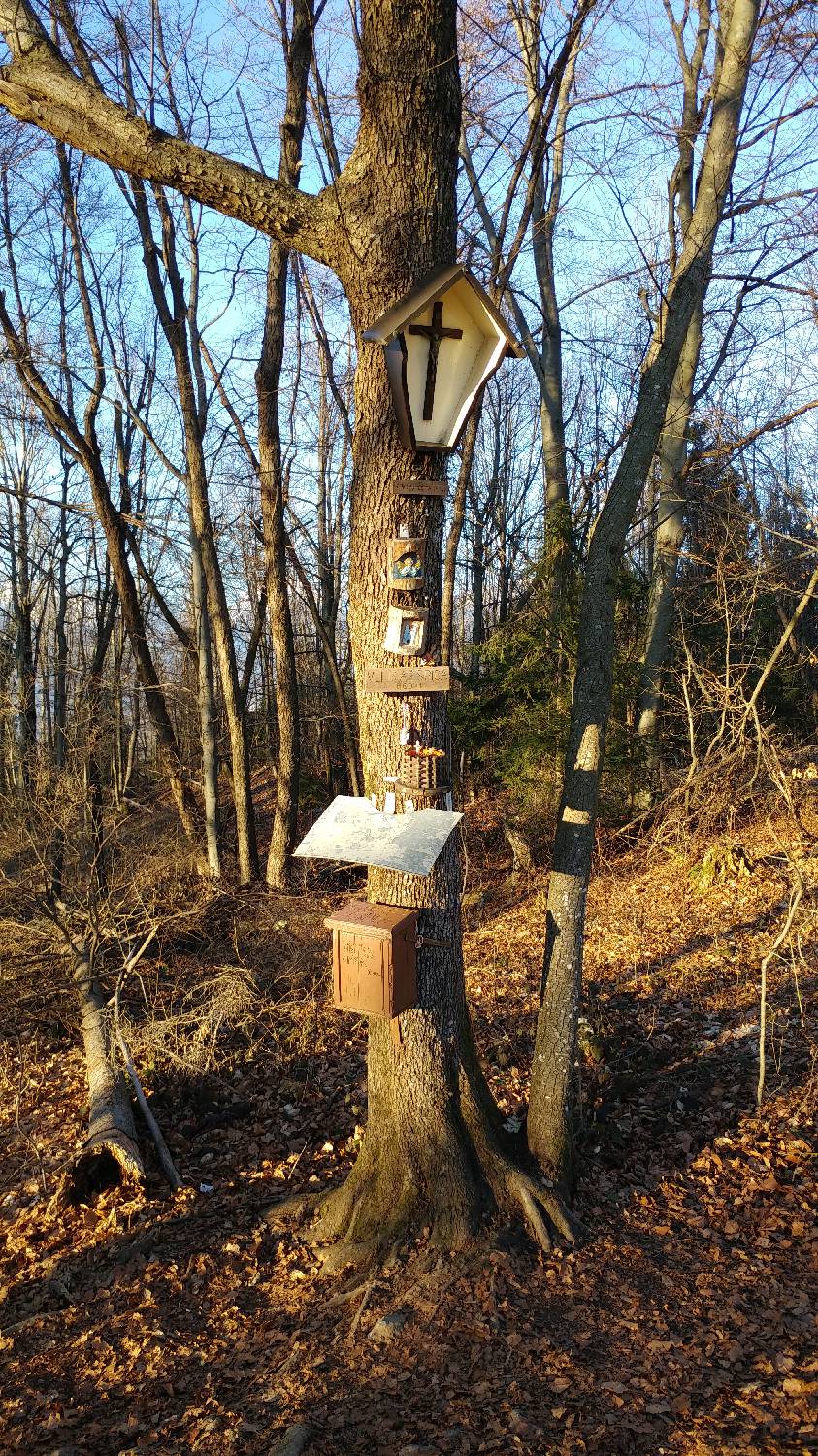Kamnik - Visoka špica slika 28