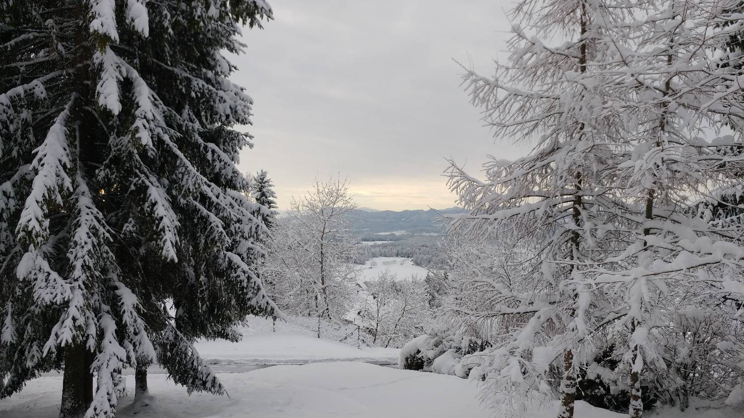 Brezje pri Tržiču - Koča na Dobrči slika 5