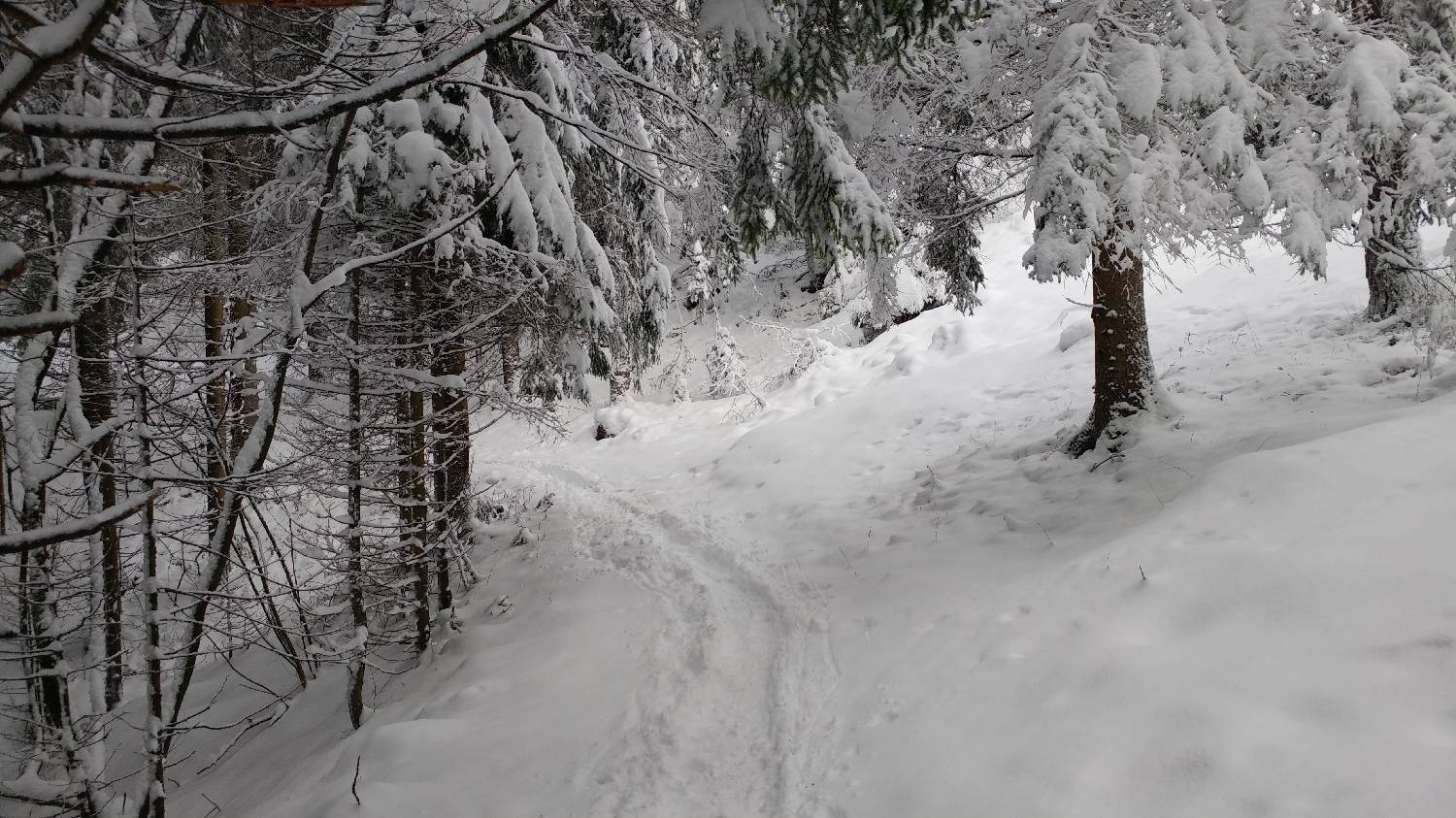 Brezje pri Tržiču - Koča na Dobrči slika 10