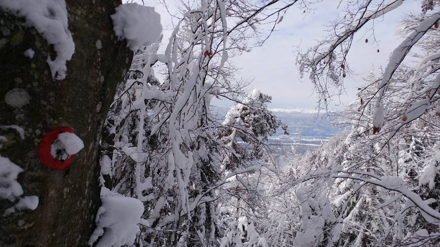 Brezje pri Tržiču - Koča na Dobrči slika 15