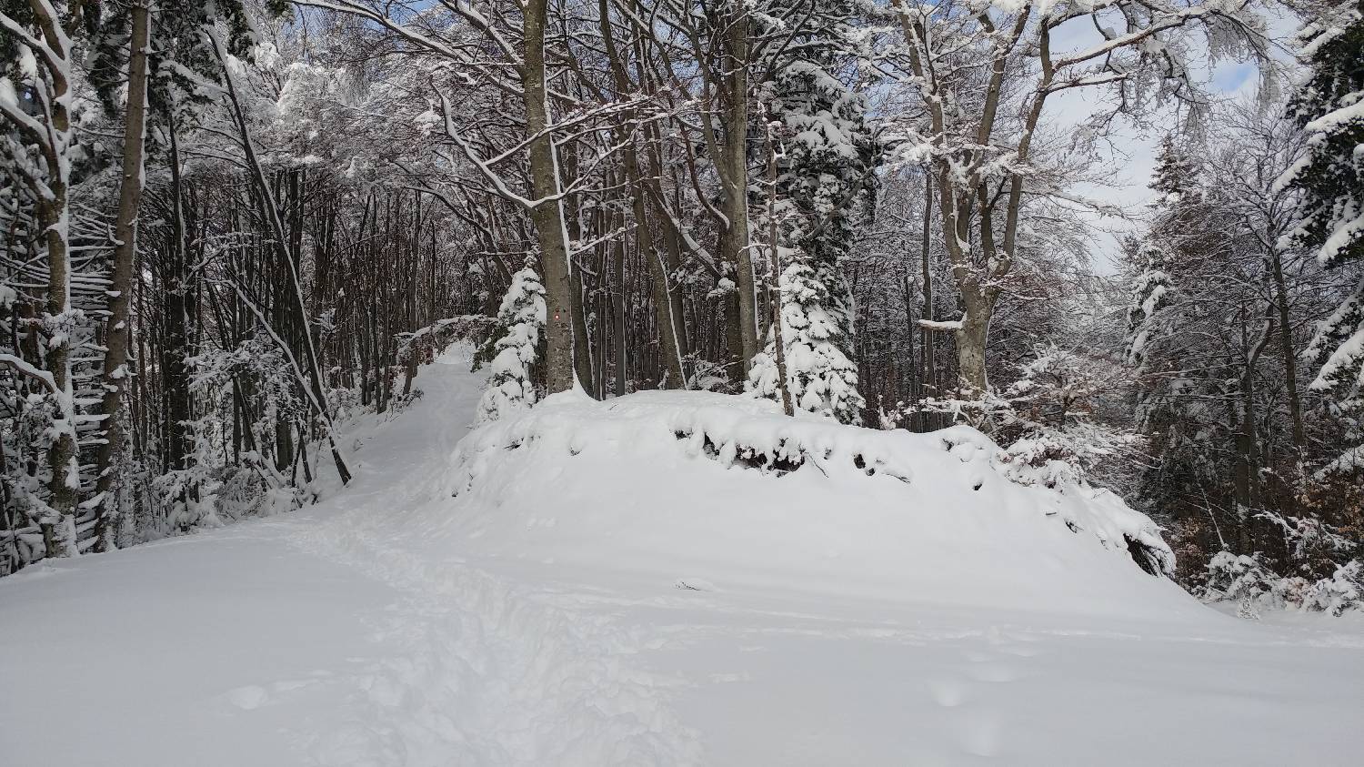 Brezje pri Tržiču - Koča na Dobrči slika 17