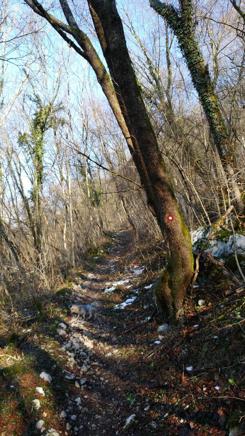 Parkirišče nad Žabčami - Žabijski vrh slika 4