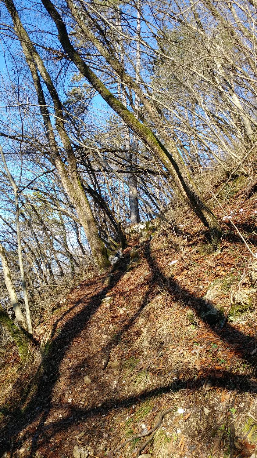 Parkirišče nad Žabčami - Žabijski vrh slika 7