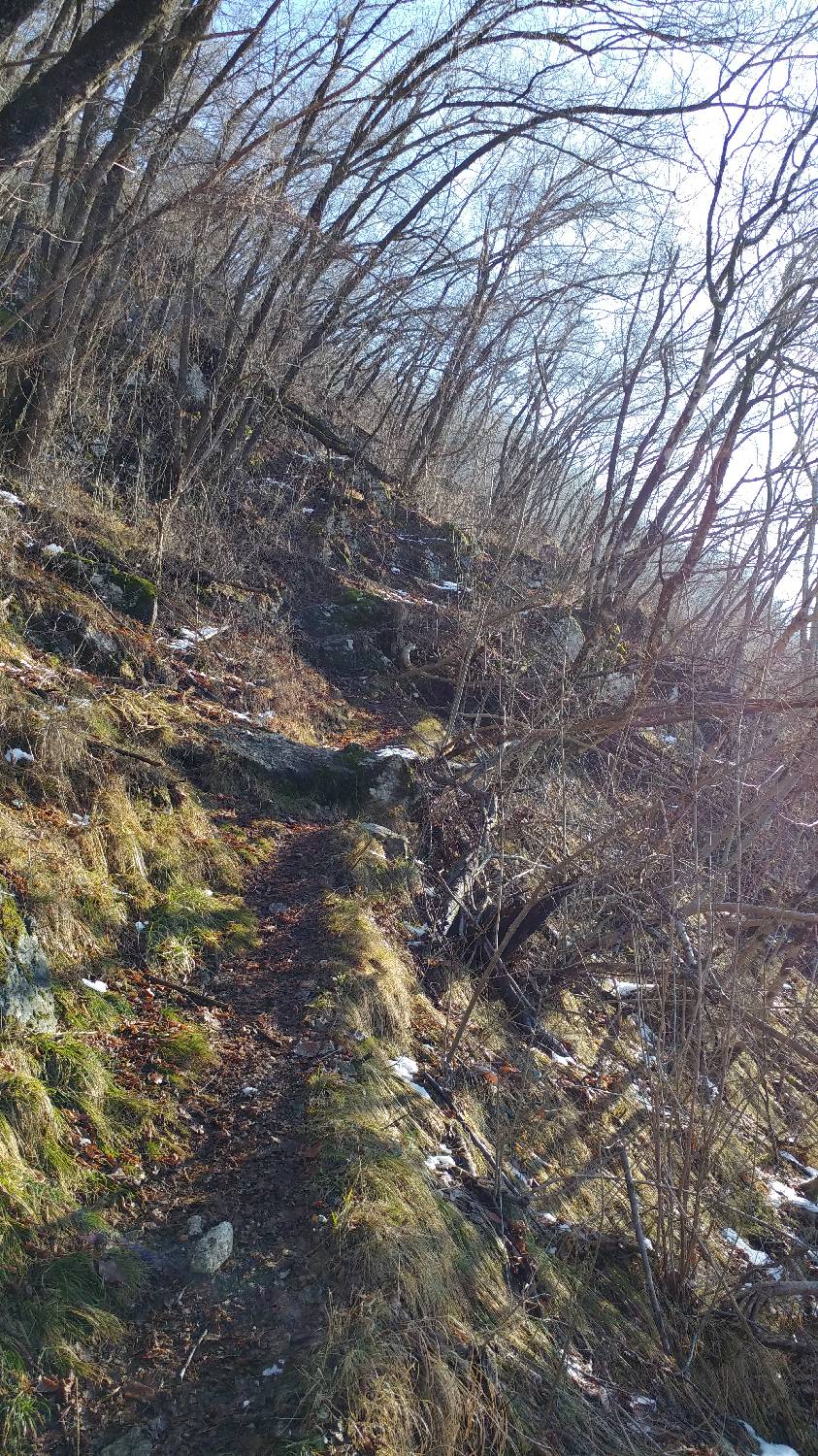 Parkirišče nad Žabčami - Žabijski vrh slika 8