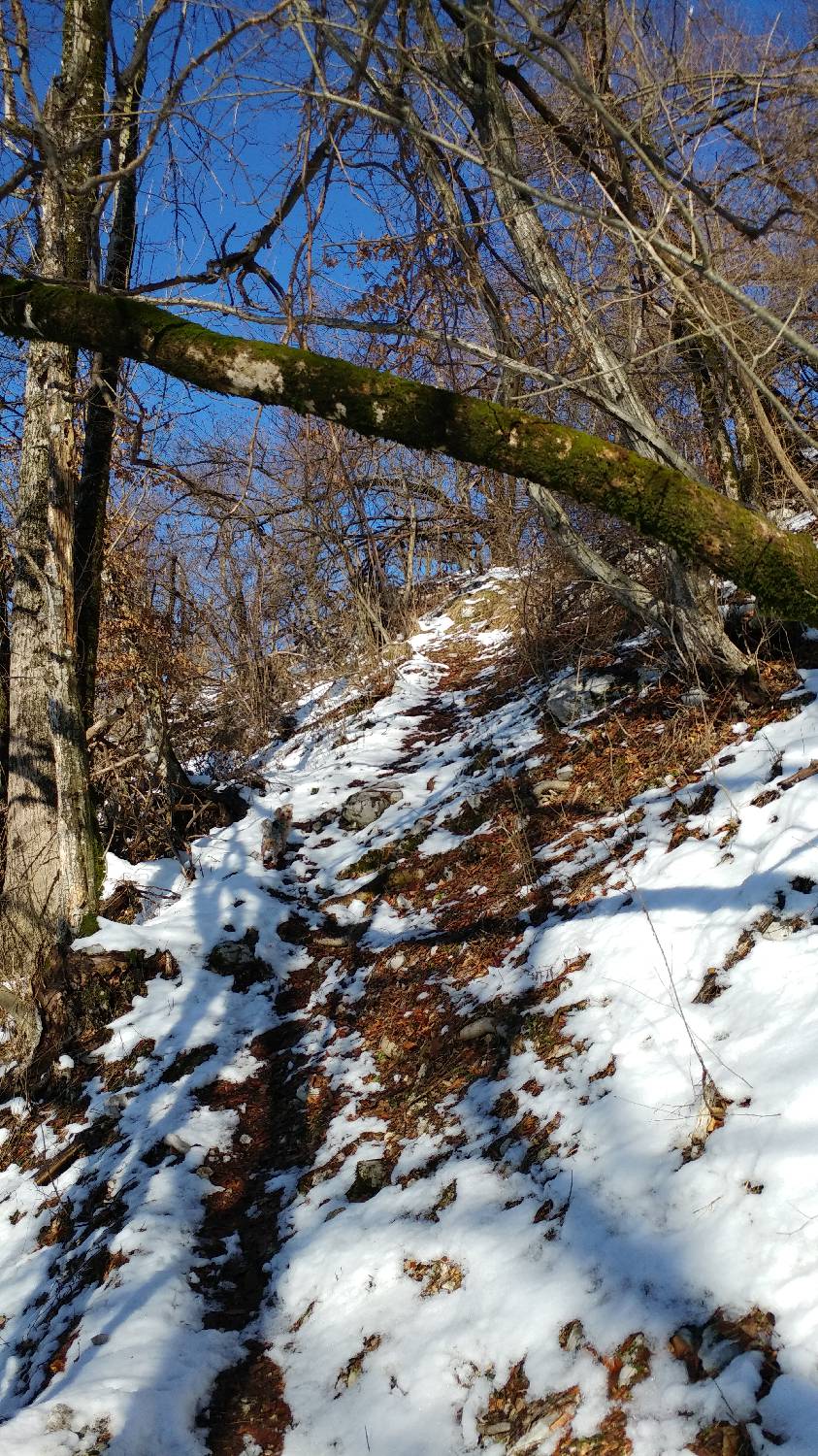 Parkirišče nad Žabčami - Žabijski vrh slika 10