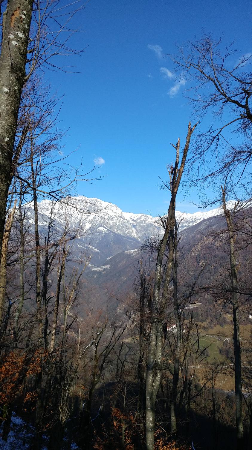 Parkirišče nad Žabčami - Žabijski vrh slika 12