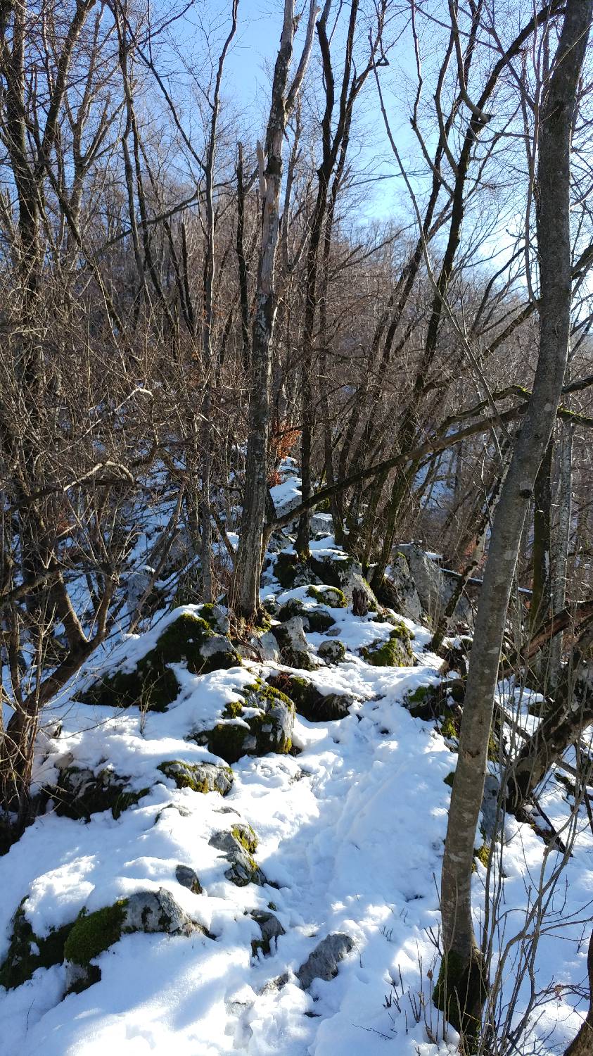 Parkirišče nad Žabčami - Žabijski vrh slika 13