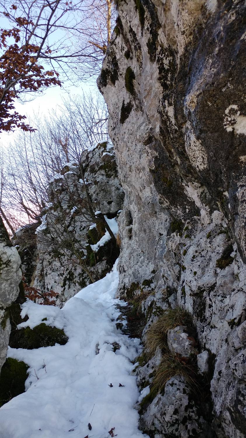 Parkirišče nad Žabčami - Žabijski vrh slika 14