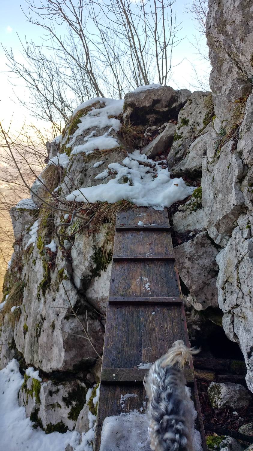 Parkirišče nad Žabčami - Žabijski vrh slika 16