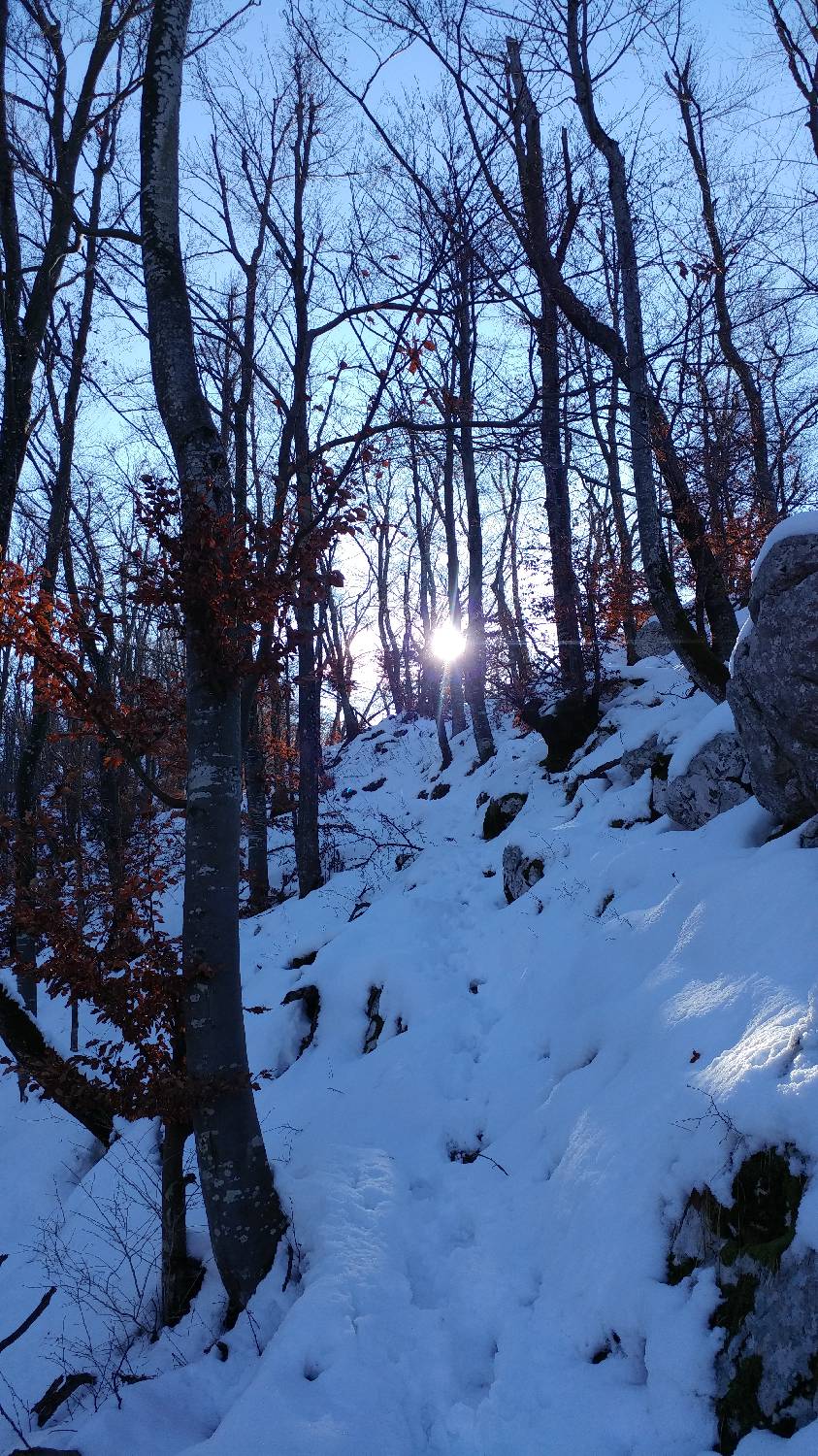 Parkirišče nad Žabčami - Žabijski vrh slika 18