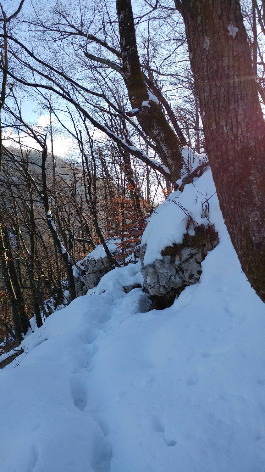 Parkirišče nad Žabčami - Žabijski vrh slika 19