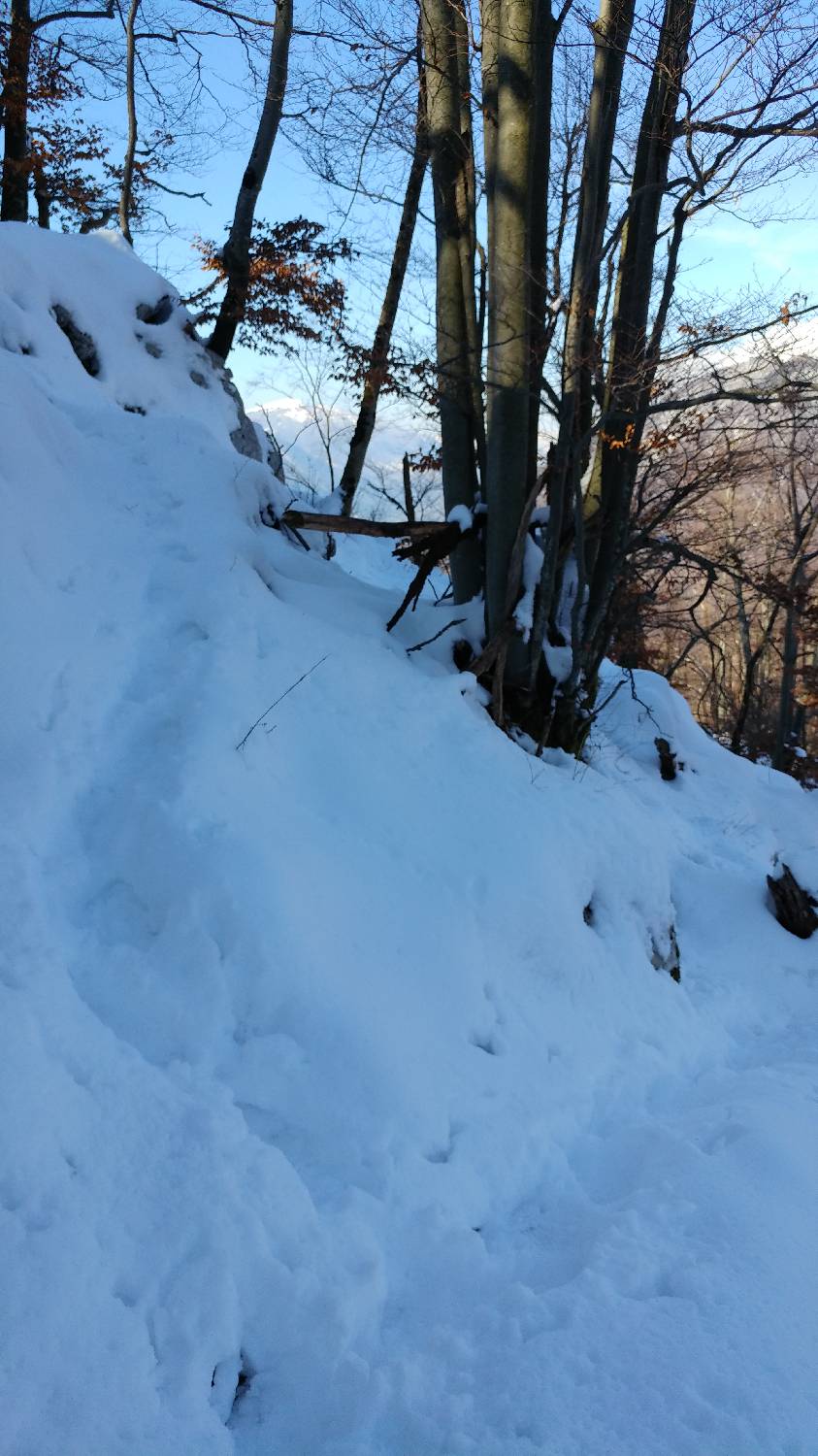 Parkirišče nad Žabčami - Žabijski vrh slika 20