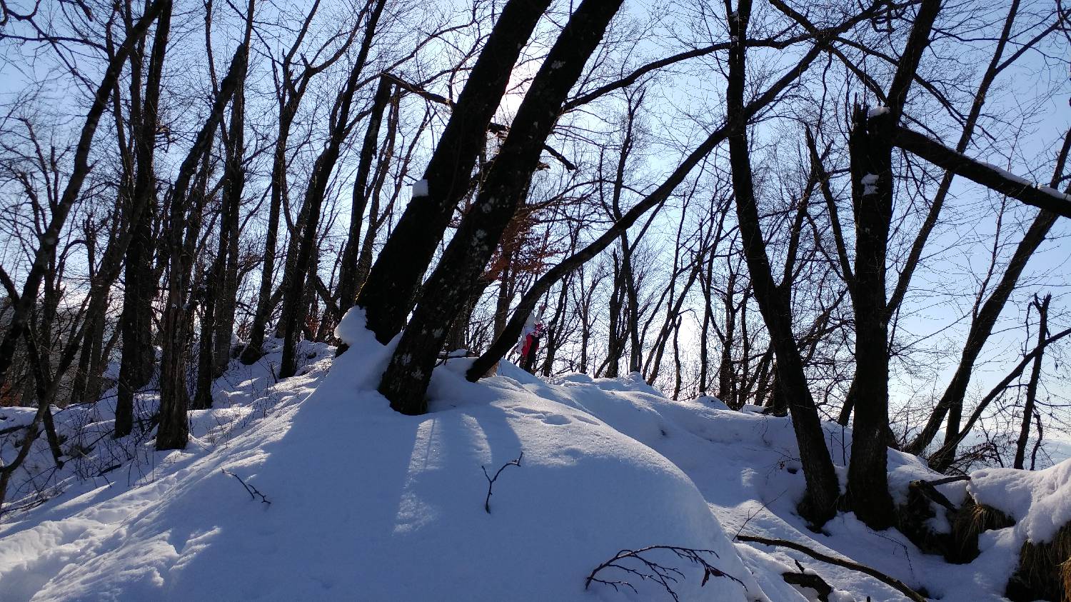 Parkirišče nad Žabčami - Žabijski vrh slika 21