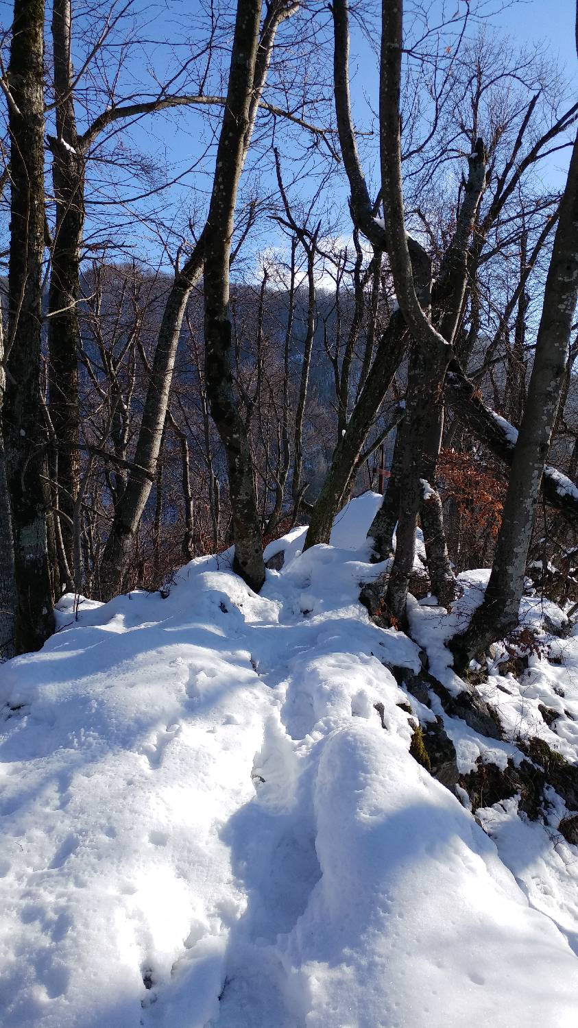 Parkirišče nad Žabčami - Žabijski vrh slika 23