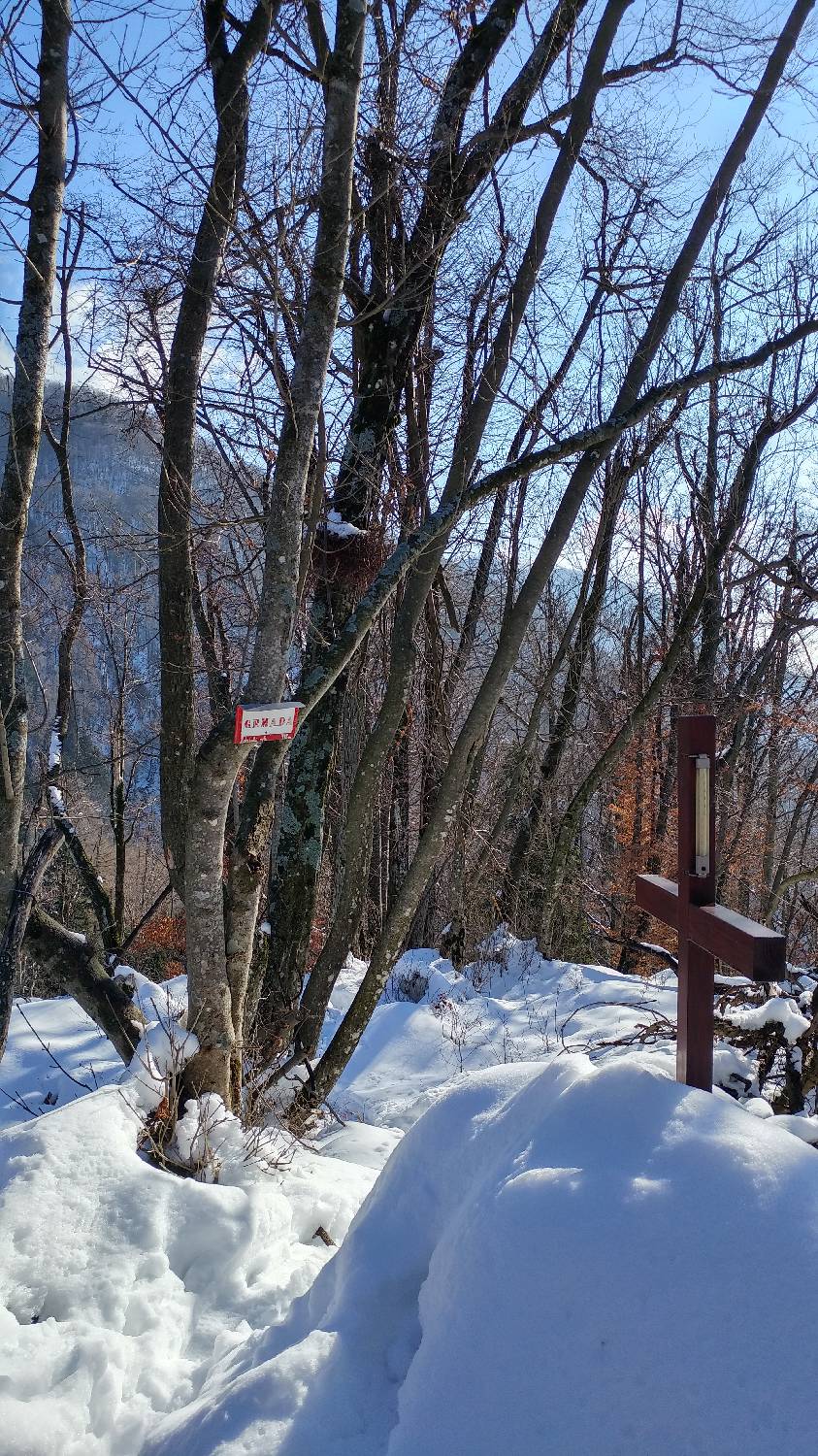 Parkirišče nad Žabčami - Žabijski vrh slika 24