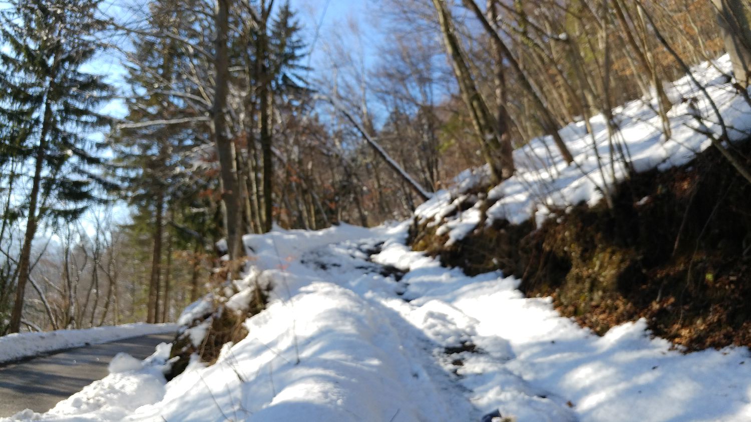 Gabrovo - Lubnik slika 2