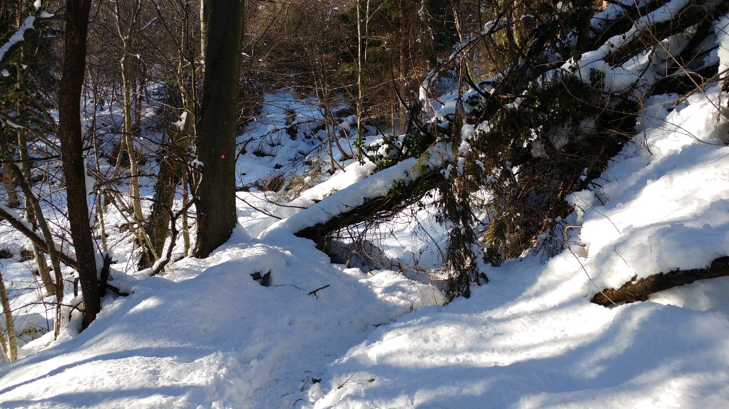 Gabrovo - Lubnik slika 3