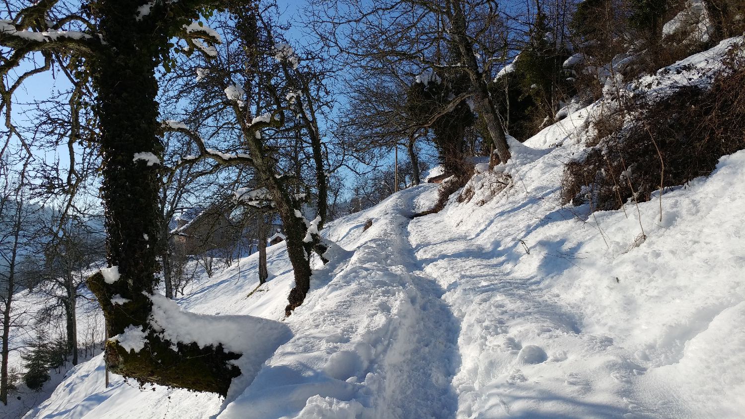 Gabrovo - Lubnik slika 4