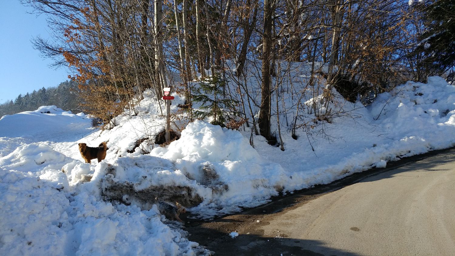 Gabrovo - Lubnik slika 8