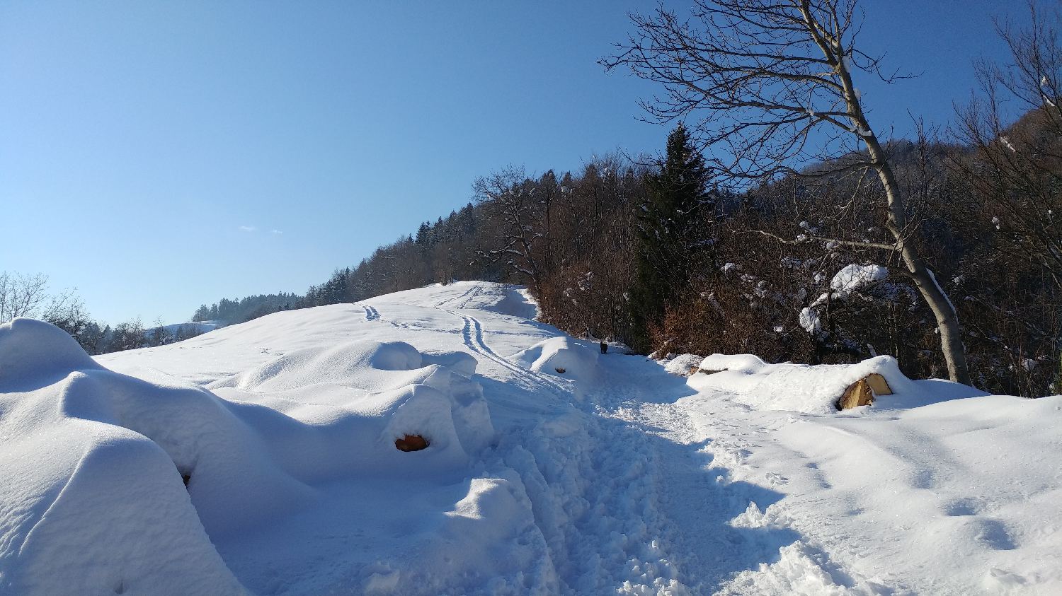 Gabrovo - Lubnik slika 9