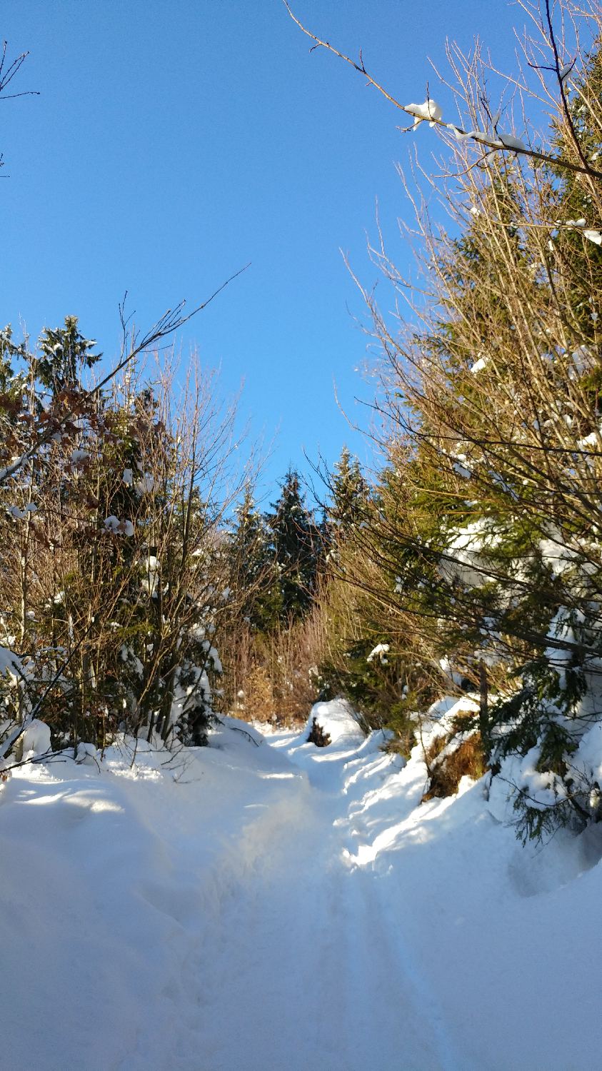 Gabrovo - Lubnik slika 13