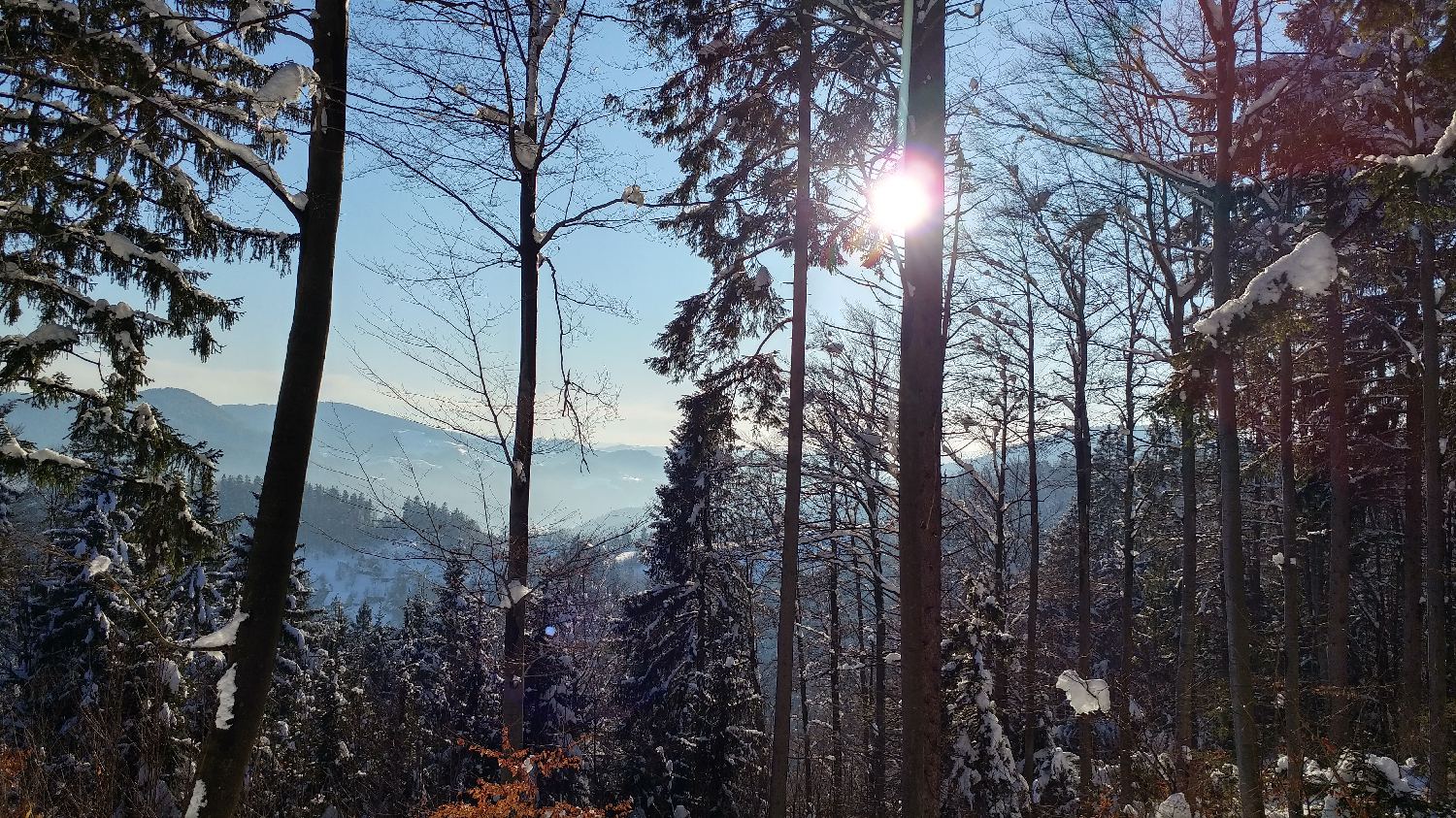 Gabrovo - Lubnik slika 15