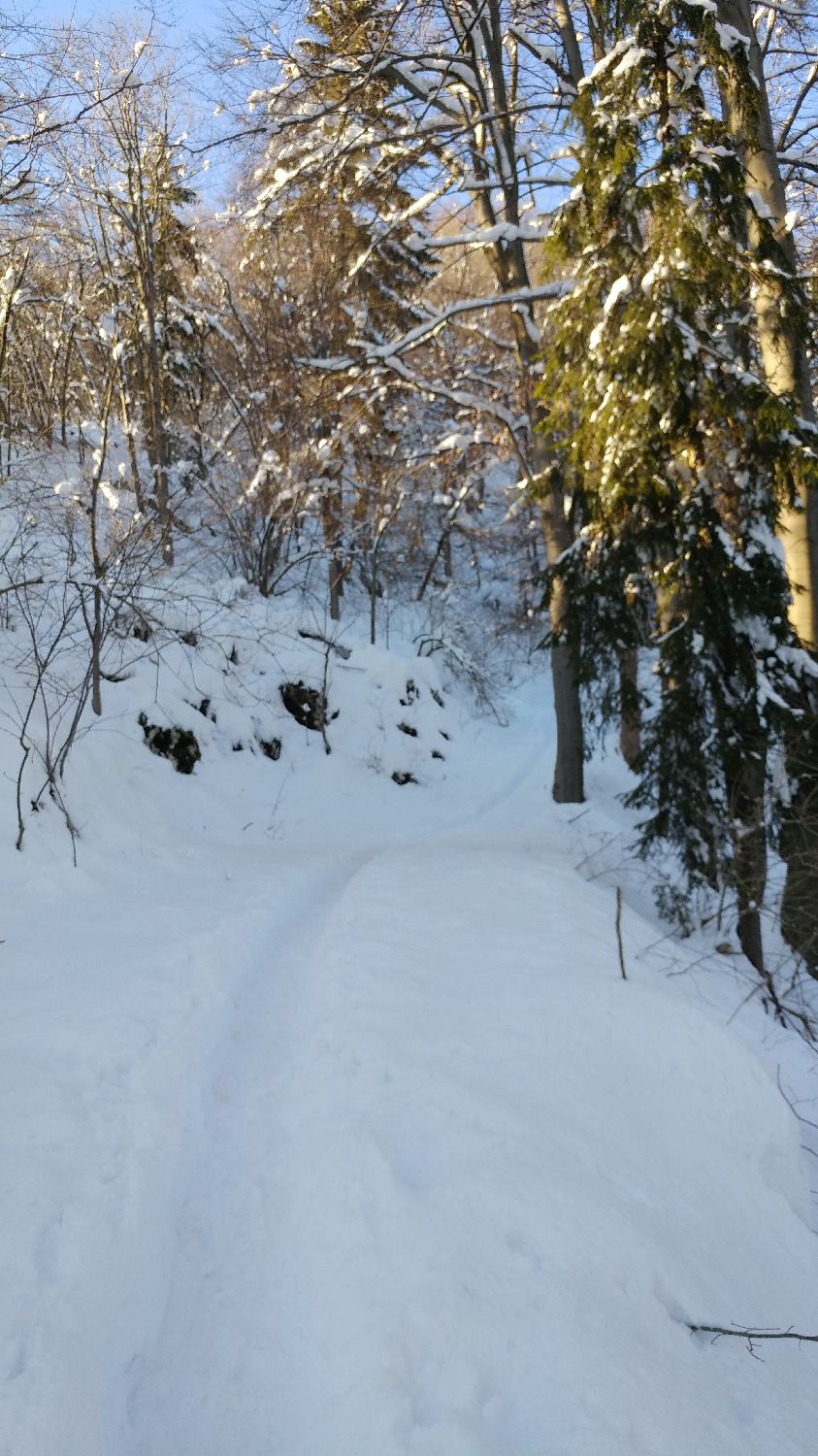 Gabrovo - Lubnik slika 16
