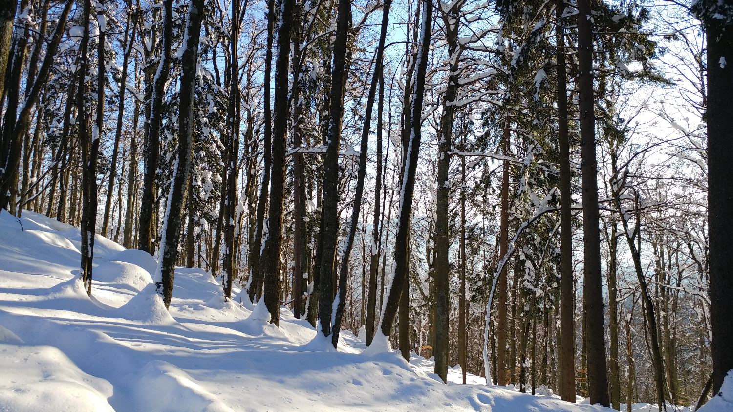 Gabrovo - Lubnik slika 23