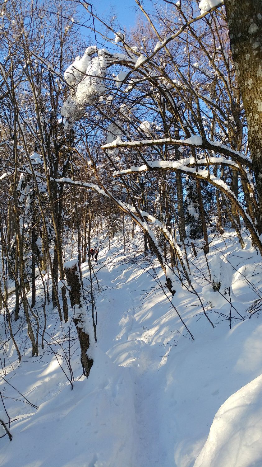 Gabrovo - Lubnik slika 24