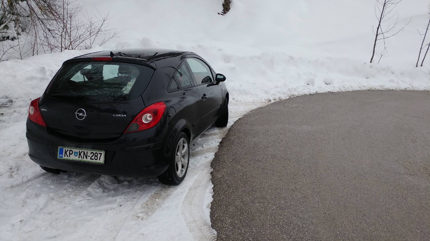 Briše - Polhograjska gora slika 1