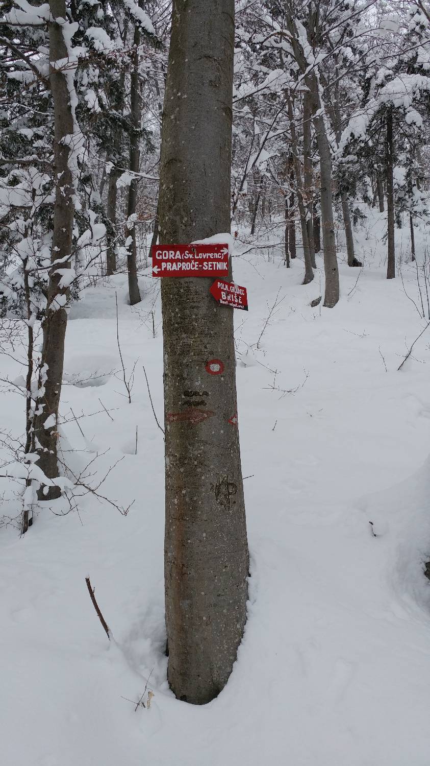 Briše - Polhograjska gora slika 8