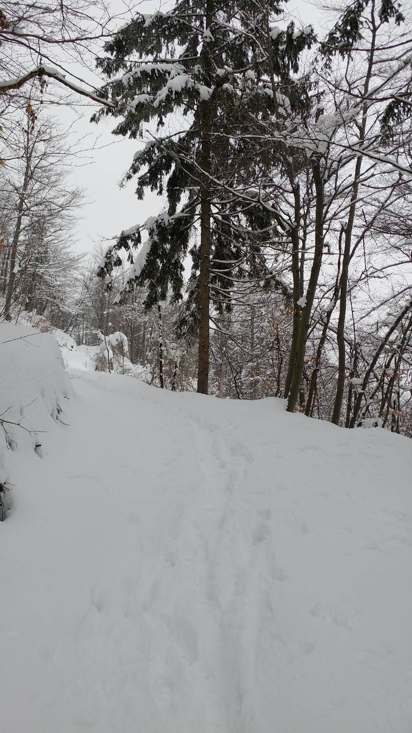 Briše - Polhograjska gora slika 9