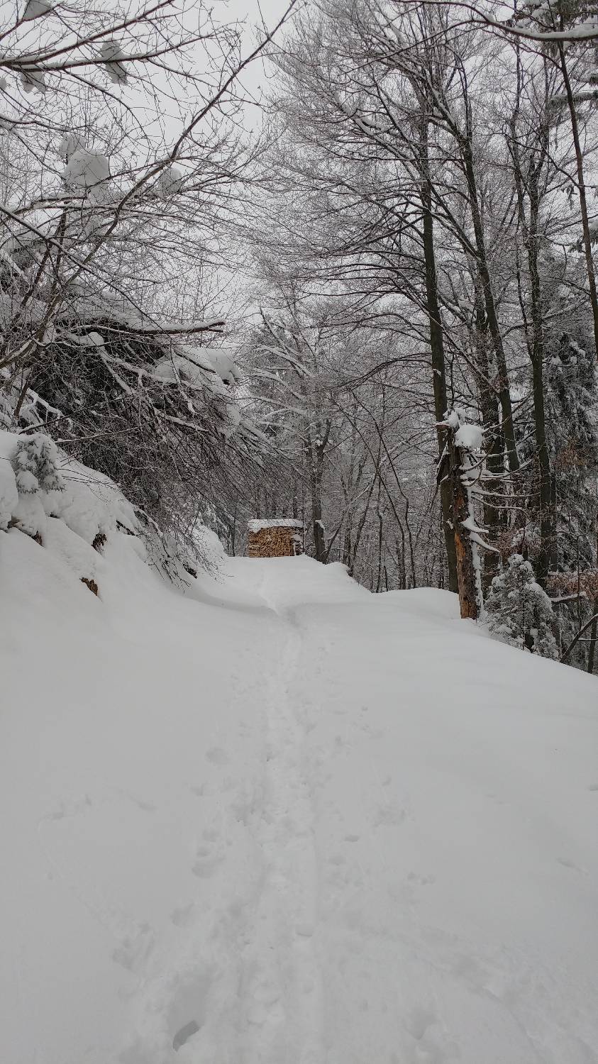Briše - Polhograjska gora slika 11