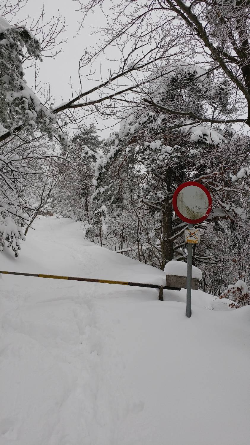 Briše - Polhograjska gora slika 12