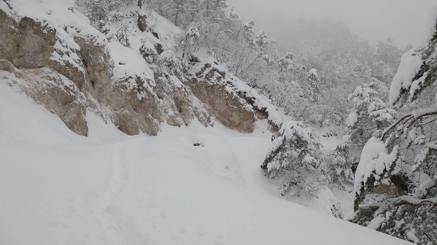 Briše - Polhograjska gora slika 13